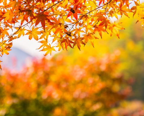 Sell Your Home This Fall