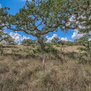 1128 Ensor Street – Lot Available in Pecan Springs 1128 Ensor Street - Lot Available in Pecan Springs