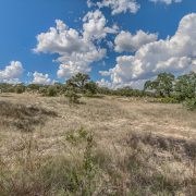 1128 Ensor Street - Lot Available in Pecan Springs