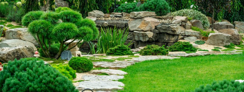 Landscaping Ideas