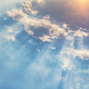 Taco Heaven Taco Heaven