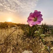 Texas Hill Country Texas Hill Country