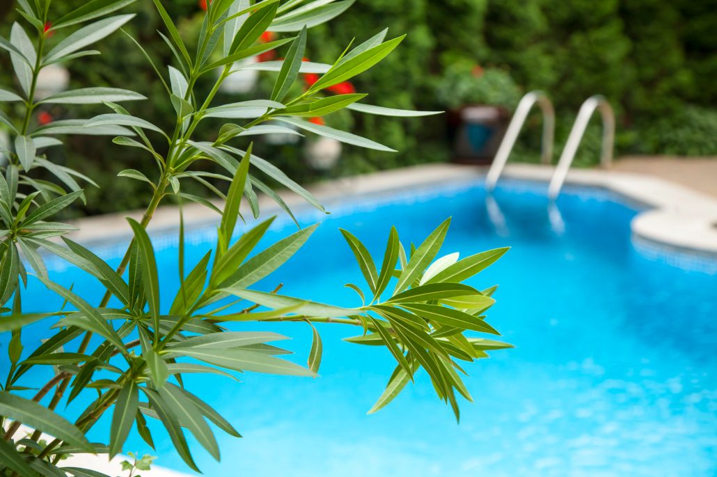 Pool Landscaping Maintenance