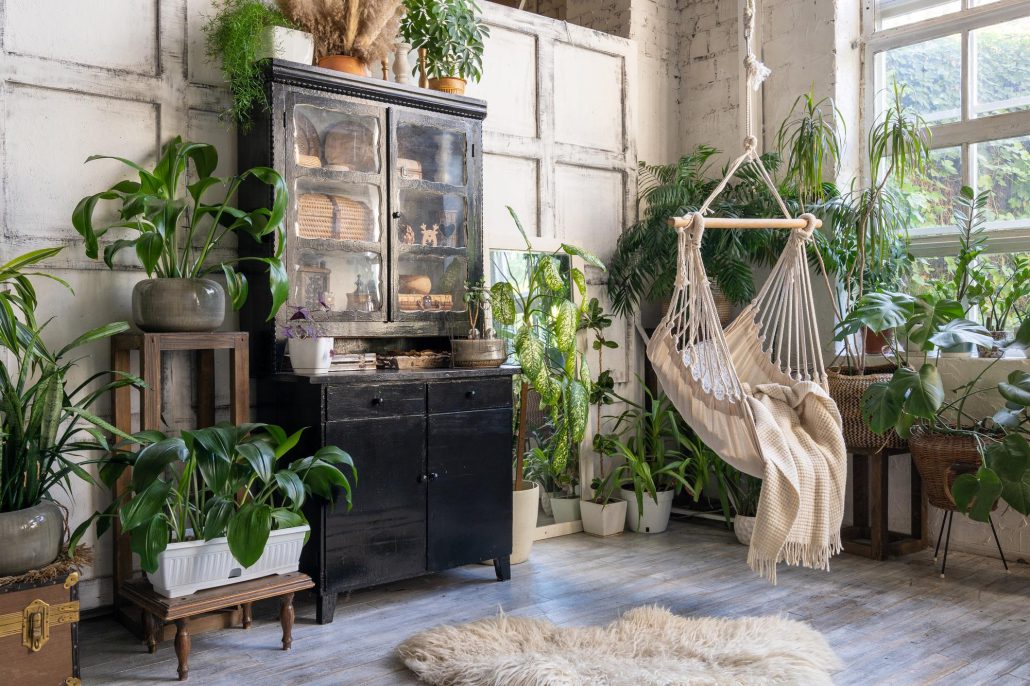 Bring Nature Indoors