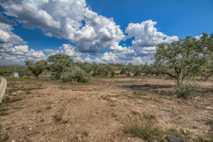 Land in the Texas Hill Country Land in the Texas Hill Country