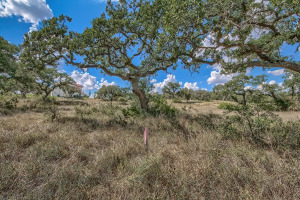 Fair Oaks Ranch Fair Oaks Ranch